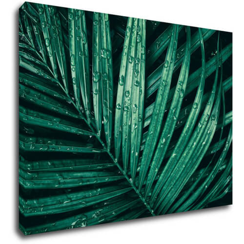 Tablou Green leaf with drops of water - 70 x 50 cm