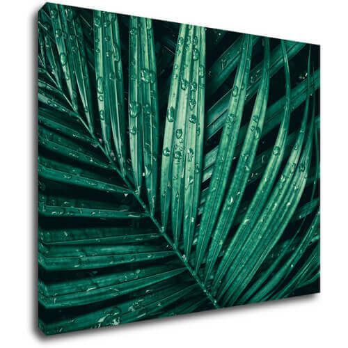 Tablou Green leaf with drops of water - 90 x 70 cm