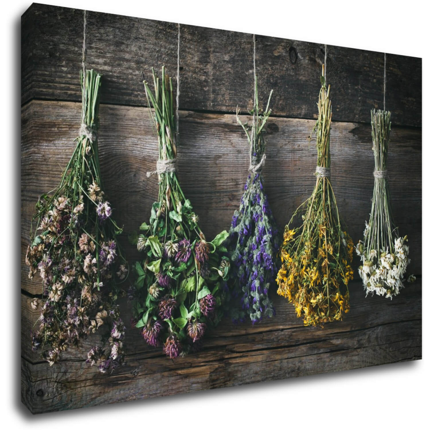 Tablou Dry flowers - 90 x 60 cm
