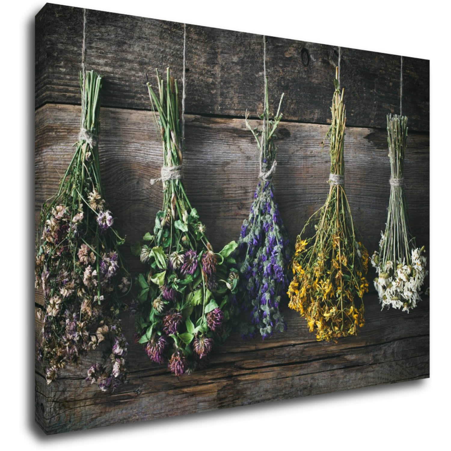 Tablou Dry flowers - 70 x 50 cm