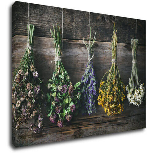 Tablou Dry flowers - 70 x 50 cm