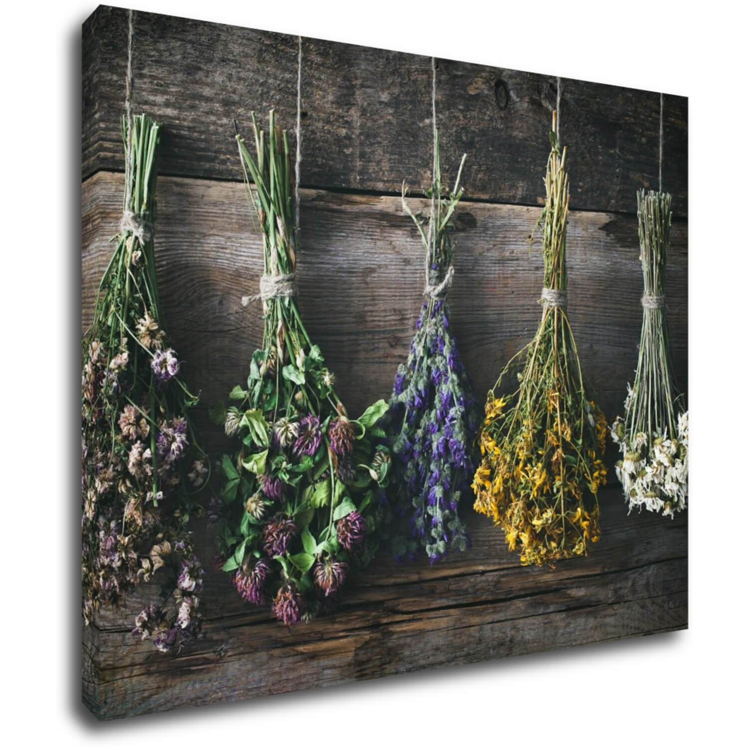 Tablou Dry flowers - 90 x 70 cm