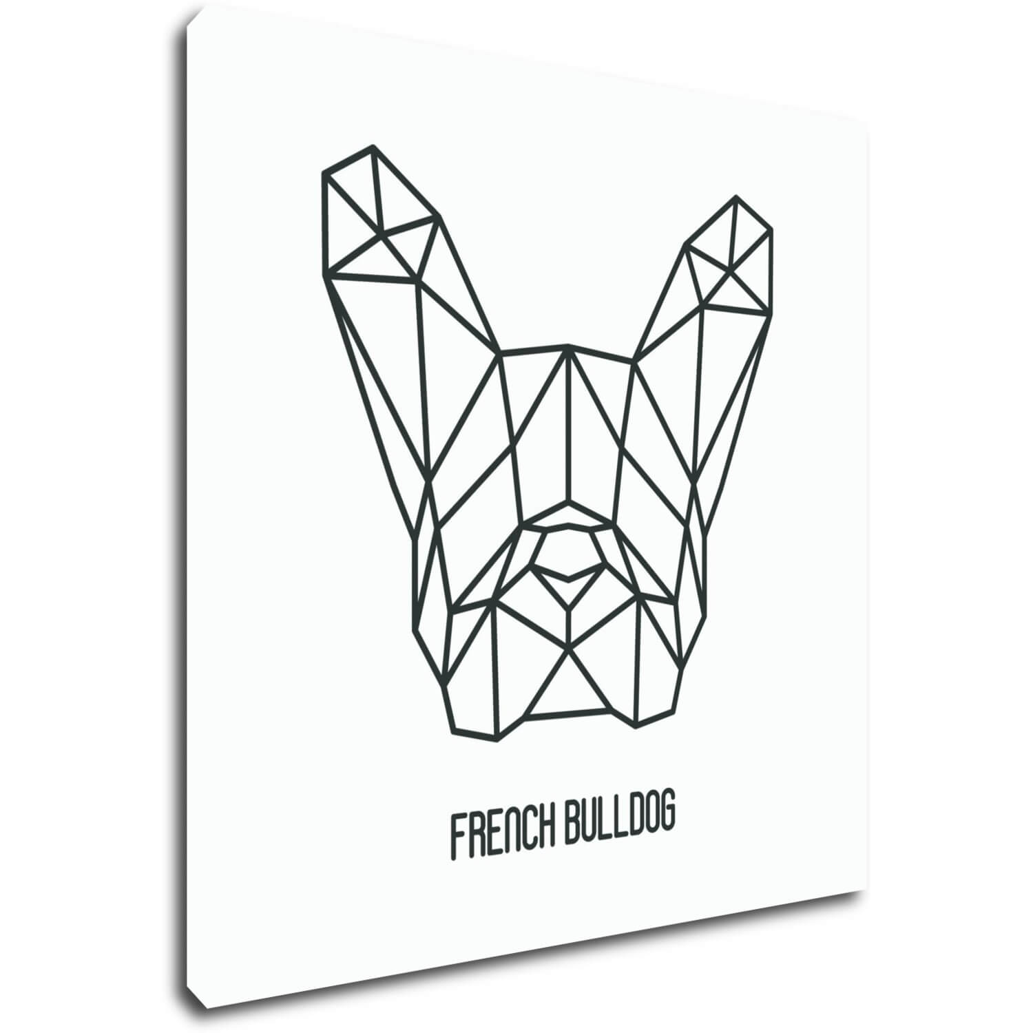 Tablou French Bulldog White Background - 60 x 60 cm