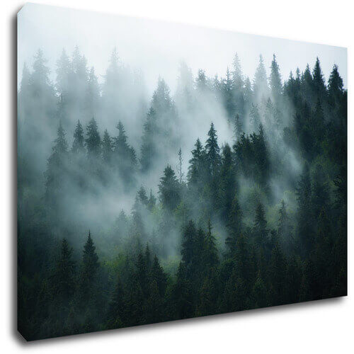 Tablou Fogy forest
