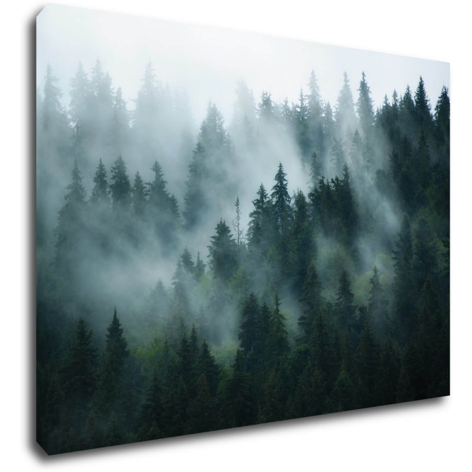 Tablou Fogy forest - 70 x 50 cm