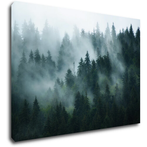 Tablou Fogy forest - 70 x 50 cm