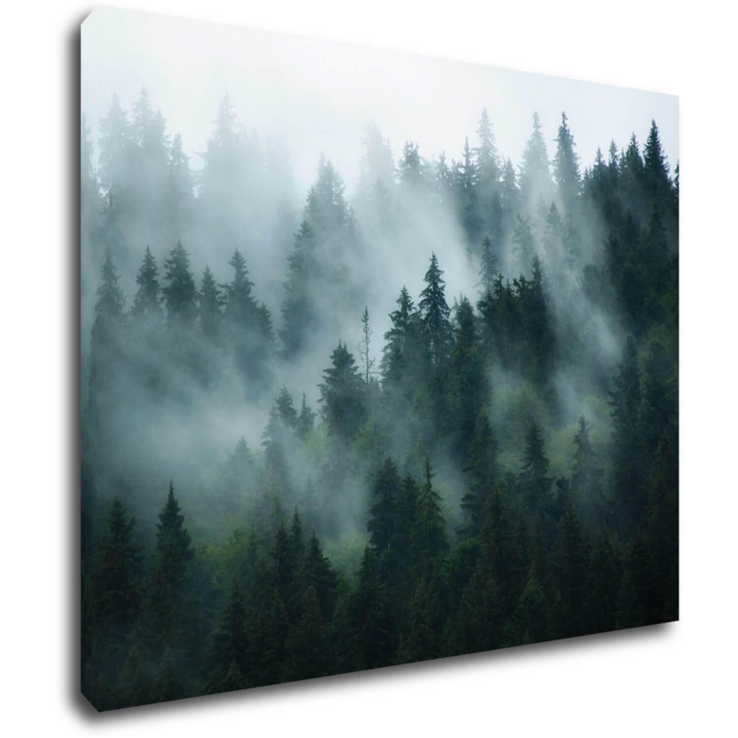 Tablou Fogy forest - 90 x 70 cm