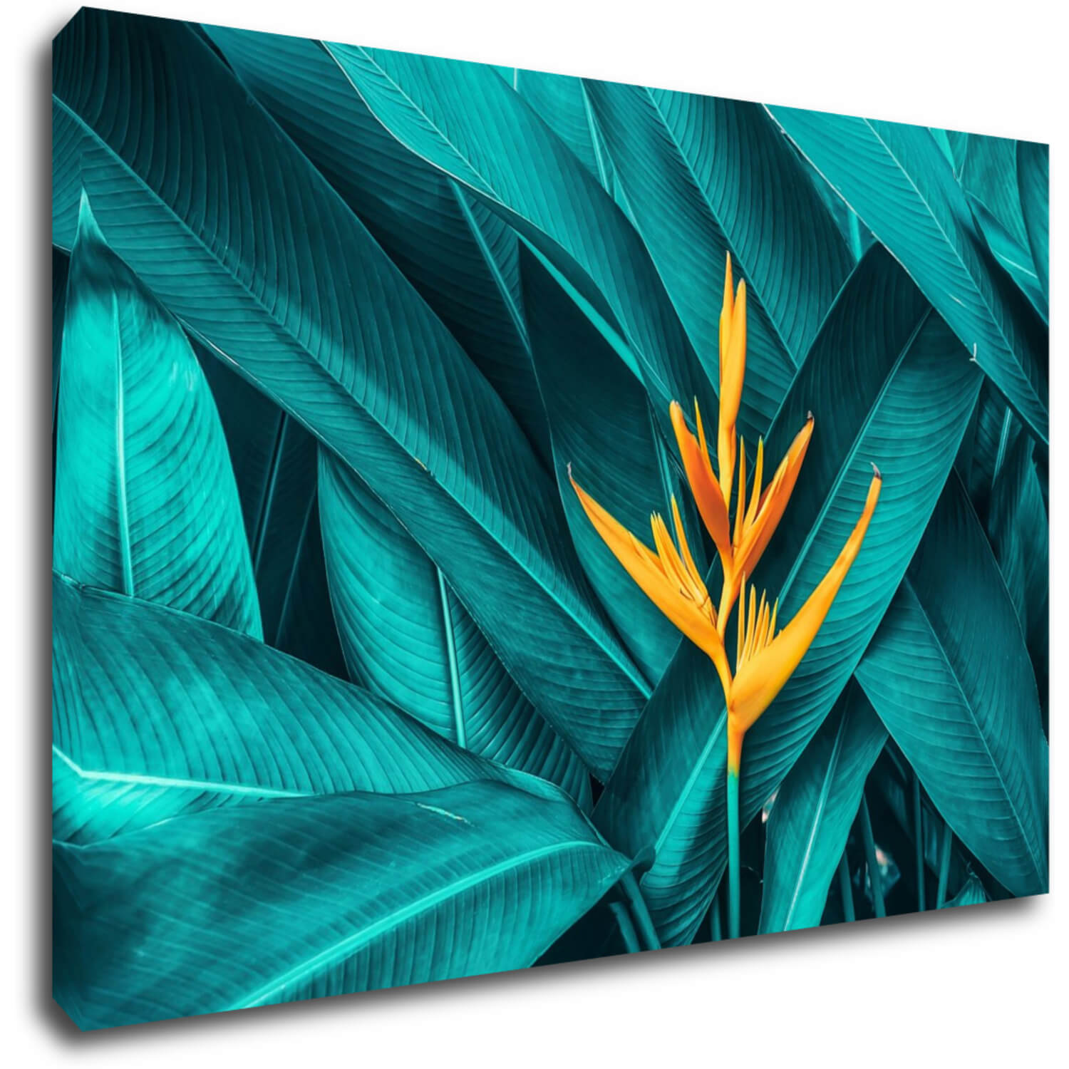 Tablou Orange blossom - 60 x 40 cm