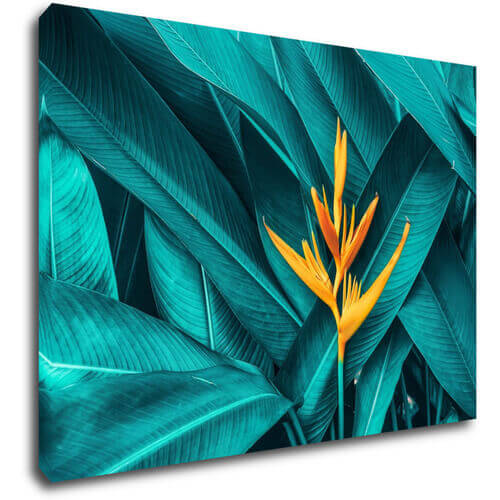 Tablou Orange blossom - 70 x 50 cm