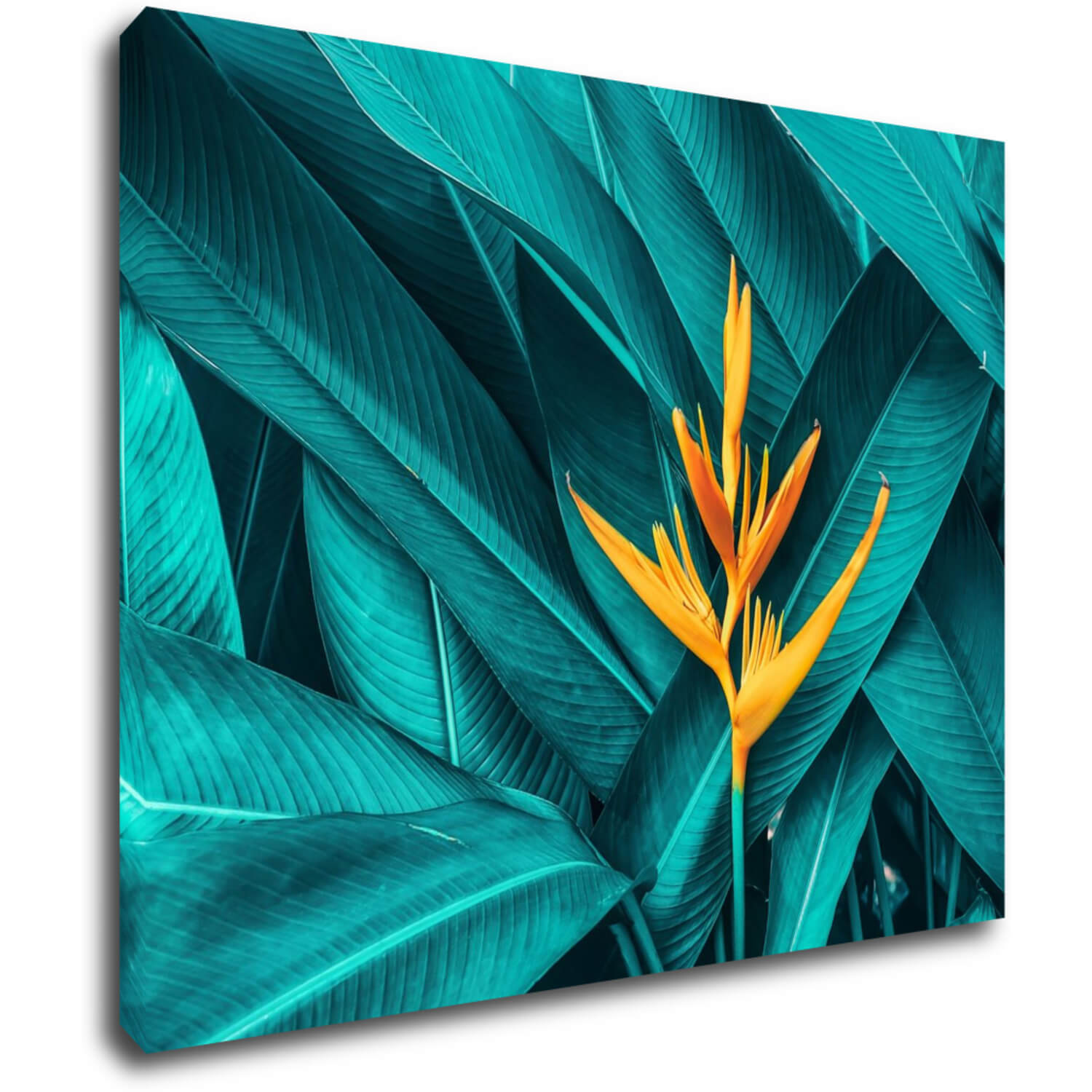 Tablou Orange blossom - 90 x 70 cm