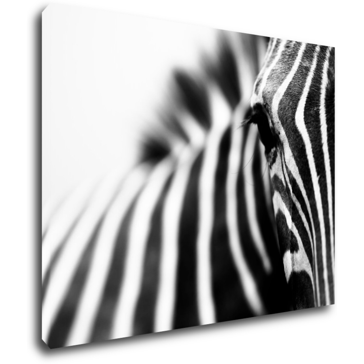 Tablou Zebra detail - 90 x 70 cm