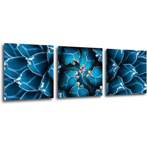 Tablou Blue blossom - 90 x 30 cm (3-piese)