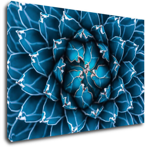 Tablou Blue blossom - 90 x 60 cm