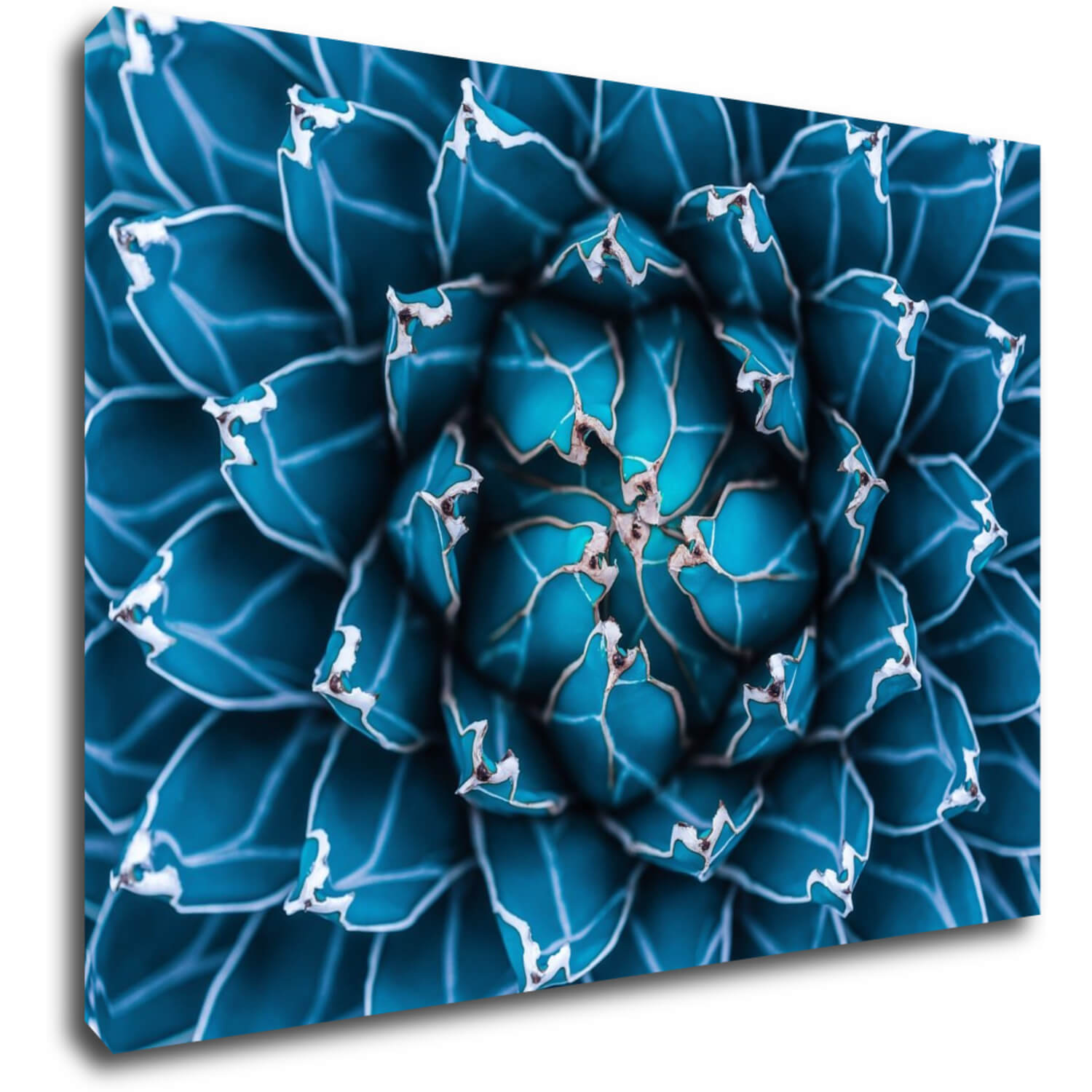 Tablou Blue blossom - 70 x 50 cm