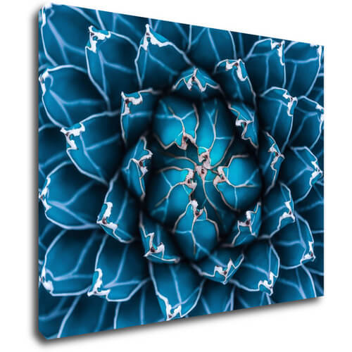 Tablou Blue blossom - 90 x 70 cm