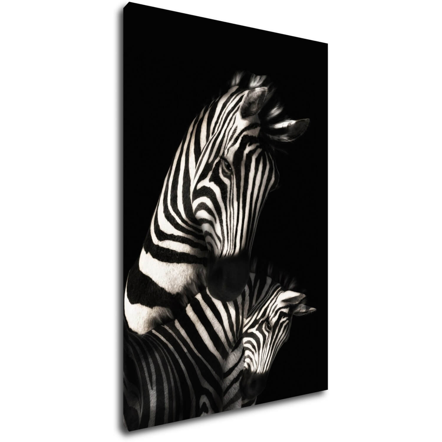 Tablou Zebras black and white - 60 x 40 cm