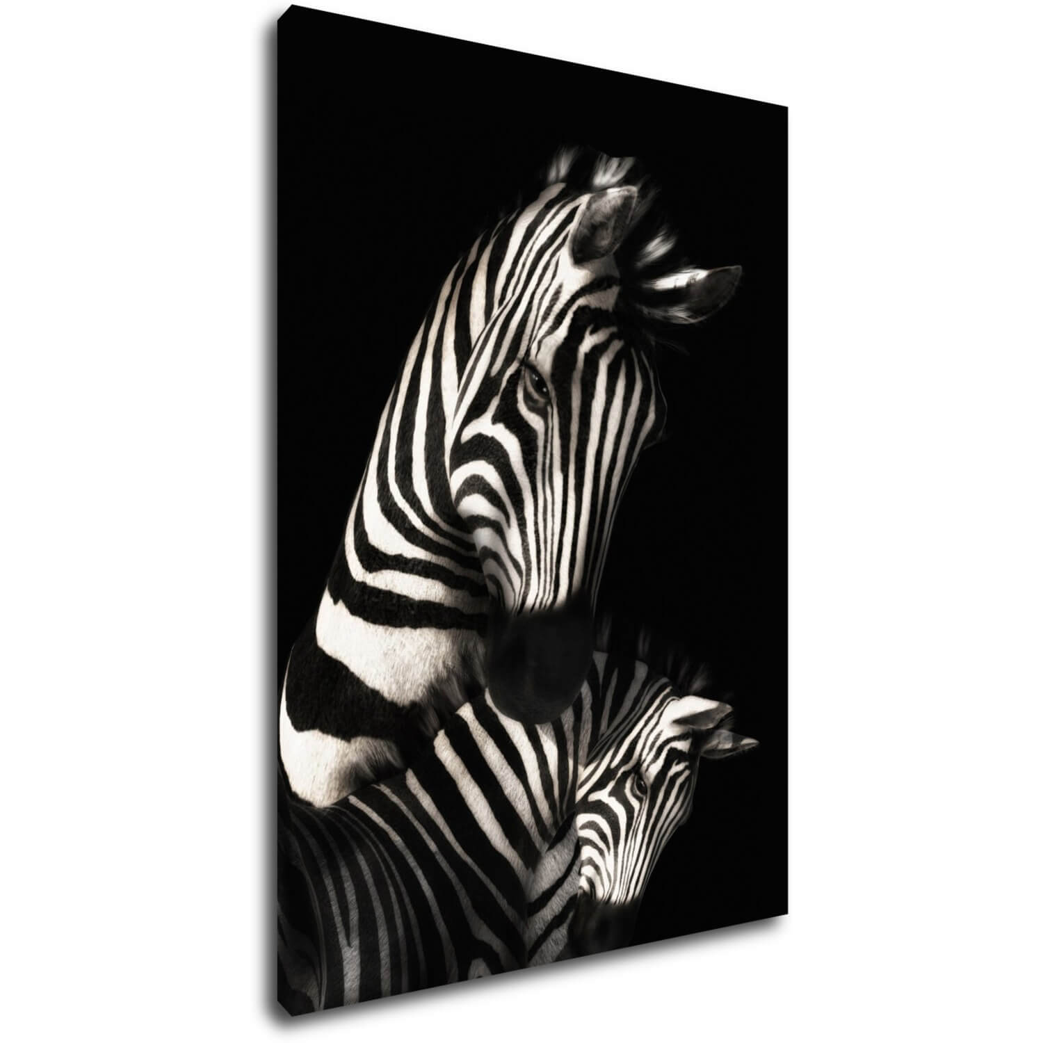 Tablou Zebras black and white - 50 x 70 cm