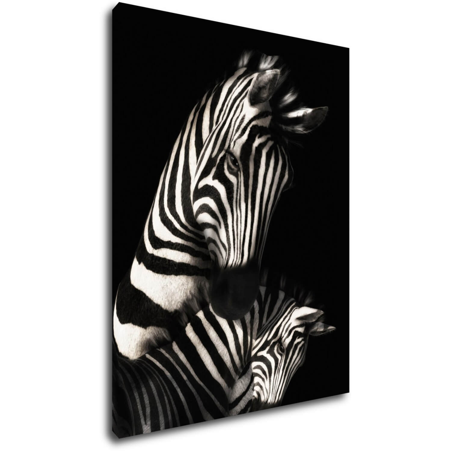 Tablou Zebras black and white - 70 x 90 cm