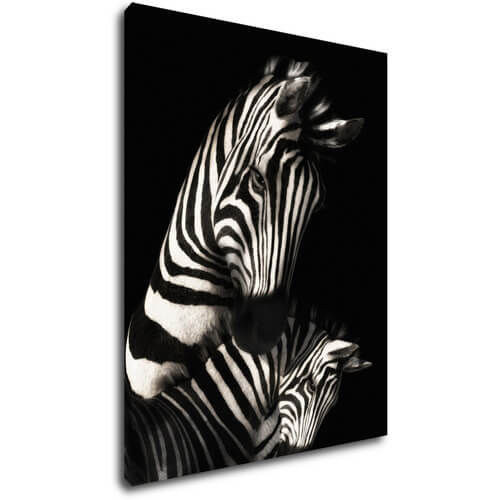 Tablou Zebras black and white - 70 x 90 cm