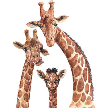 Autocolant pentru camera copilului Cute giraffes